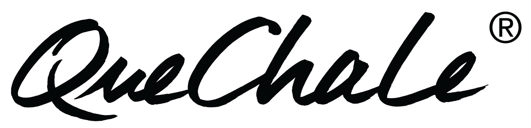 Schwarzes QueChaLe-Logo für helle Hintergründe